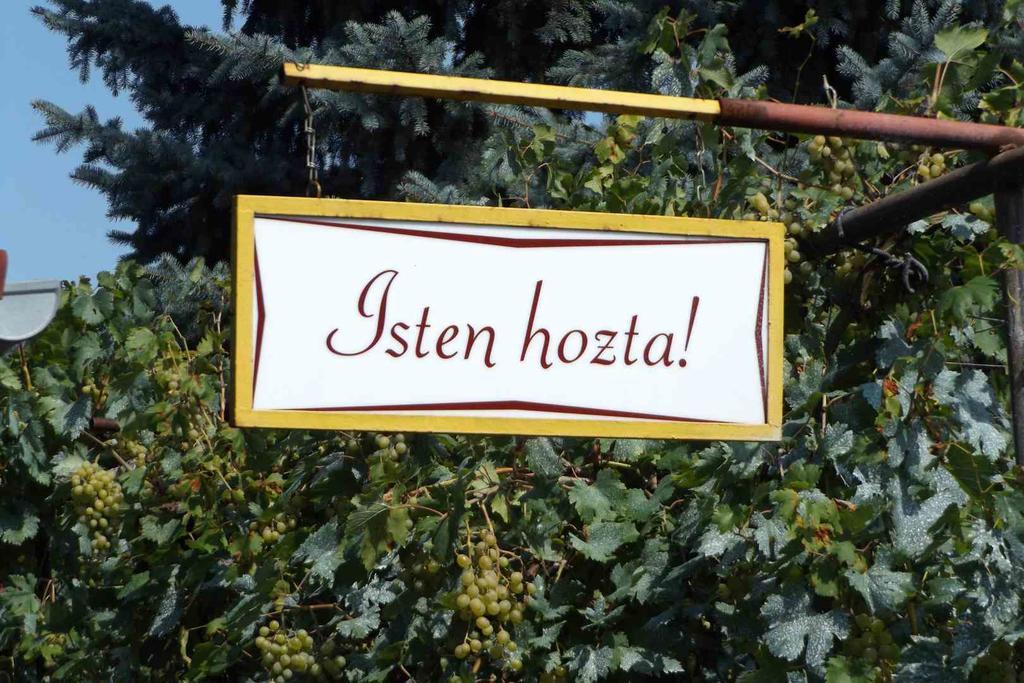 Ópusztaszeri Mózes Vendégház Exterior foto
